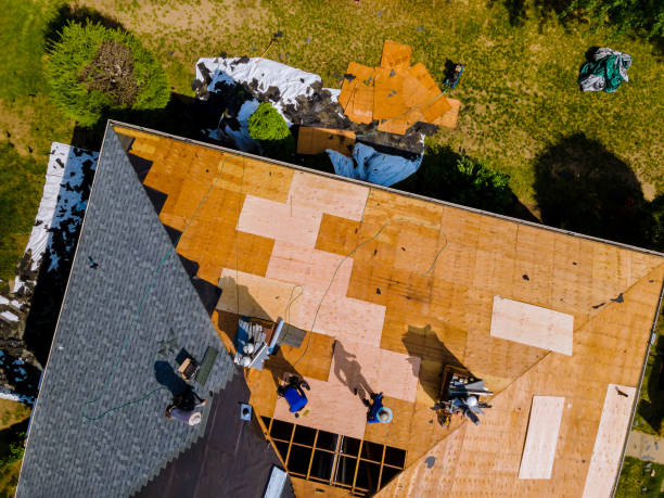 Best Residential Roofing Contractor  in Webster, FL