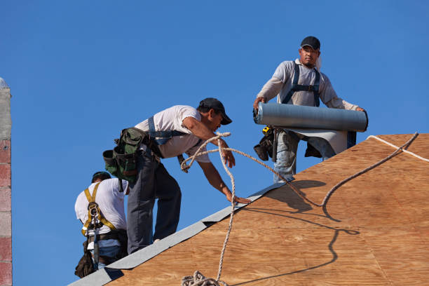 Best Roof Maintenance Services  in Webster, FL