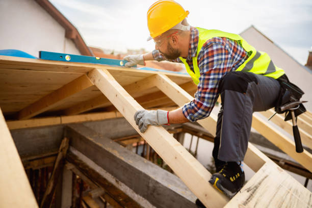 Best Shingle Roofing Installation  in Webster, FL