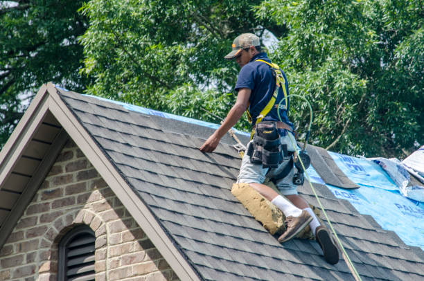 Quick and Trustworthy Emergency Roof Repair Services in Webster, FL